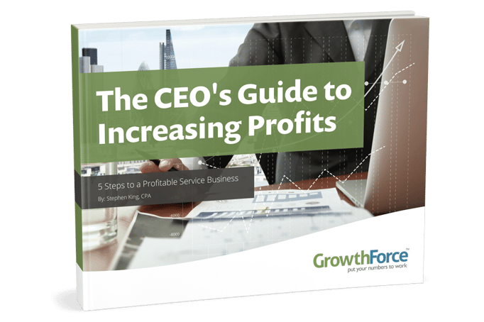 profits, profitability, and profit margins in your business