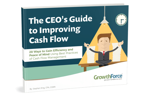 CEO's Guide to Improving Cash Flow
