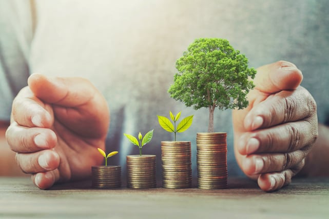 Pricing, Profitability