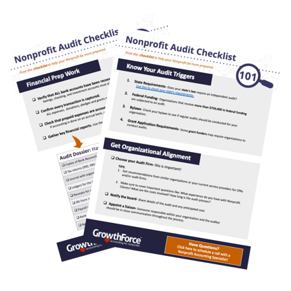 Nonprofit audit