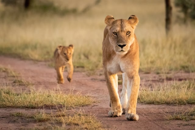 6 Leadership Styles Which One Is Best For Your Business