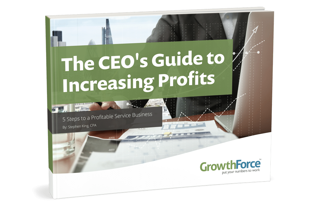 The CEO's Guide to Increasing Profits