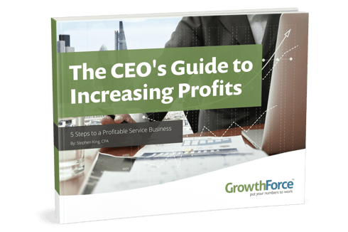 CEO's Guide to Increasing Profits