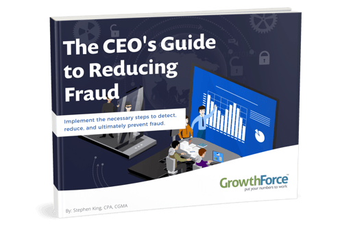 CEO's Guide to Reduce Fraud