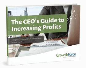The CEO's Guide to Increasing Profits