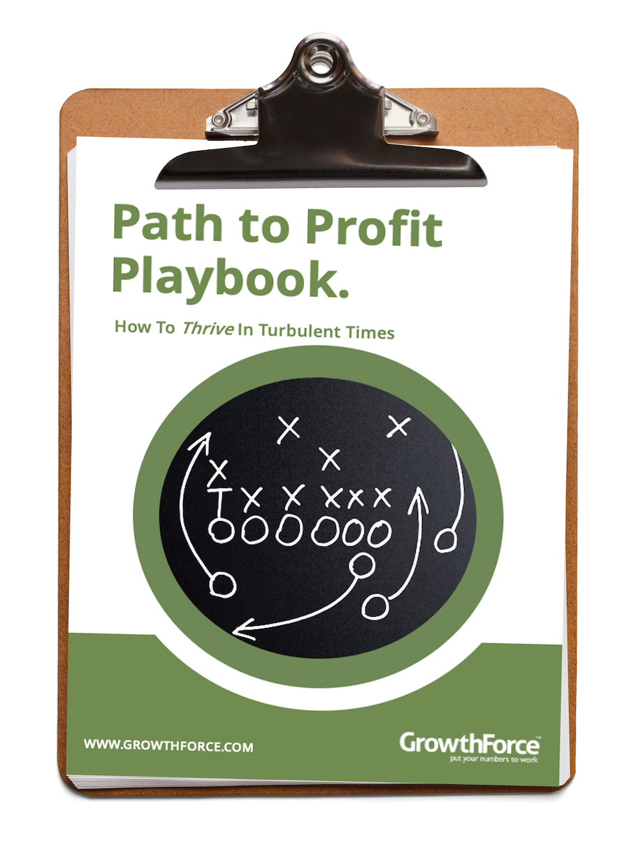 Path To Profit Playbook-1