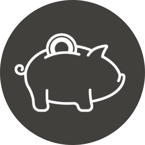 Piggie Bank Icon