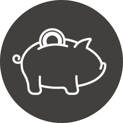 Piggie Bank Icon 