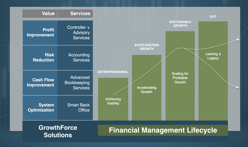 The Financial Management Lifecycle