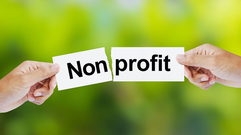 NonProfit vs For-Profit financial management