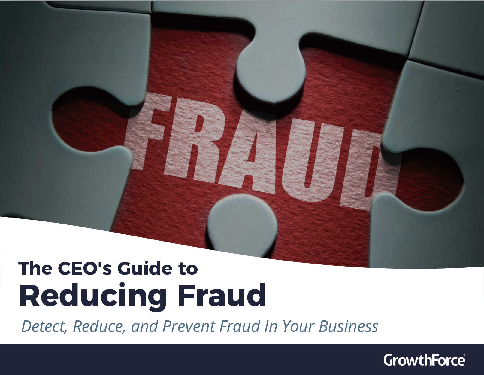 Fraud eBook cover